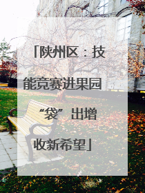 陕州区：技能竞赛进果园 “袋”出增收新希望