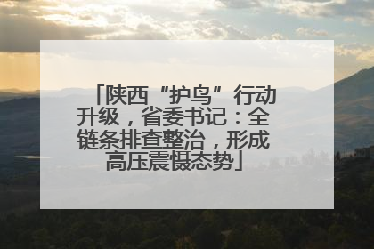 陕西“护鸟”行动升级，省委书记：全链条排查整治，形成高压震慑态势
