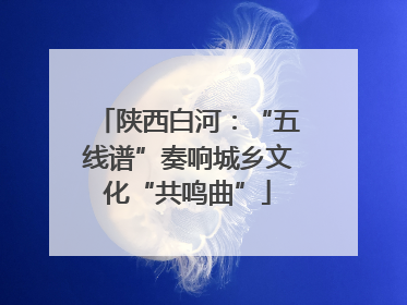 陕西白河：“五线谱”奏响城乡文化“共鸣曲”