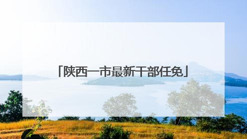 陕西一市最新干部任免