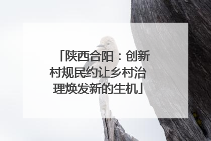 陕西合阳：创新村规民约让乡村治理焕发新的生机