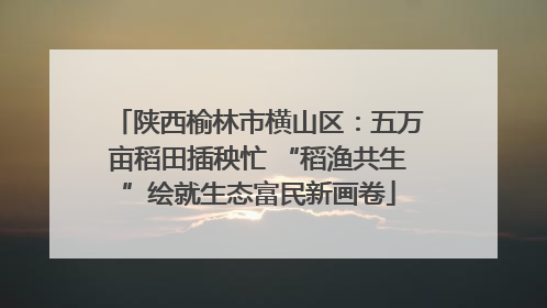 陕西榆林市横山区：五万亩稻田插秧忙 “稻渔共生”绘就生态富民新画卷