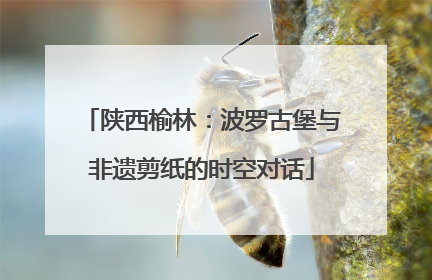 陕西榆林：波罗古堡与非遗剪纸的时空对话