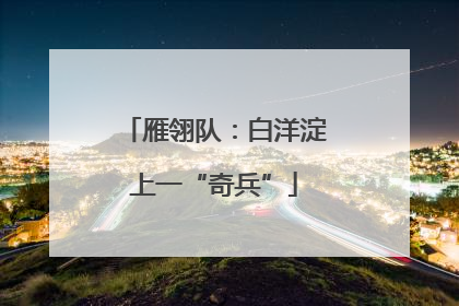雁翎队：白洋淀上一“奇兵”