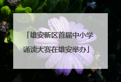 雄安新区首届中小学诵读大赛在雄安举办