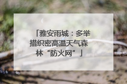 雅安雨城：多举措织密高温天气森林“防火网”