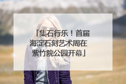集石行乐！首届海淀石刻艺术周在紫竹院公园开幕