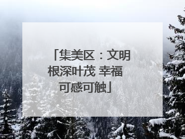 集美区：文明根深叶茂 幸福可感可触
