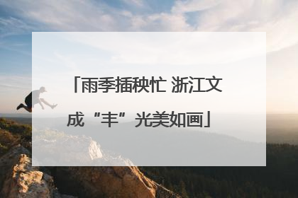 雨季插秧忙 浙江文成“丰”光美如画