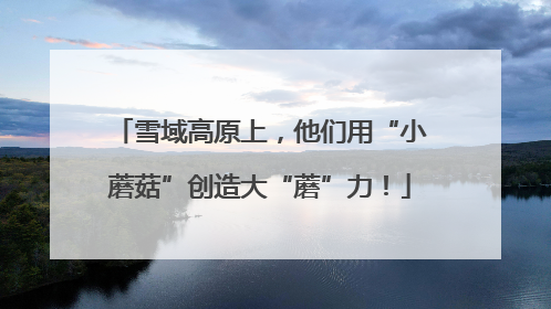 雪域高原上，他们用“小蘑菇”创造大“蘑”力！