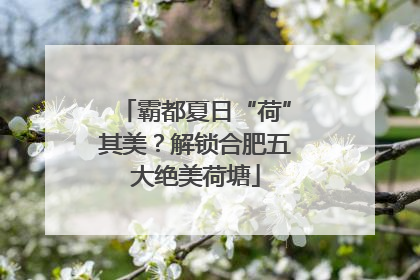 霸都夏日“荷”其美？解锁合肥五大绝美荷塘