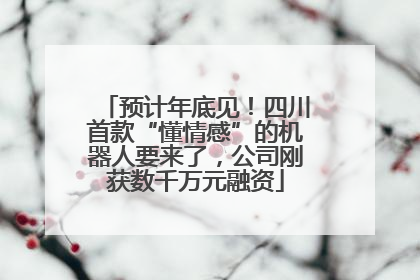 预计年底见！四川首款“懂情感”的机器人要来了，公司刚获数千万元融资