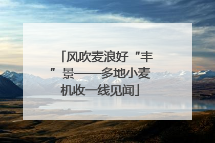 风吹麦浪好“丰”景——多地小麦机收一线见闻