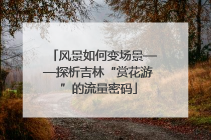 风景如何变场景——探析吉林“赏花游”的流量密码