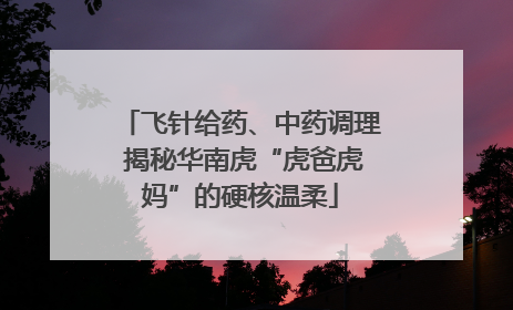 飞针给药、中药调理 揭秘华南虎“虎爸虎妈”的硬核温柔