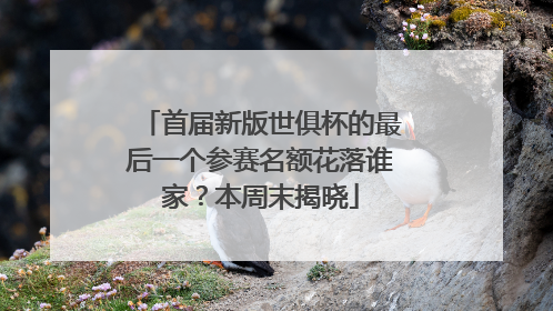 首届新版世俱杯的最后一个参赛名额花落谁家？本周末揭晓