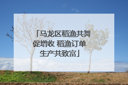 马龙区稻渔共舞促增收 稻渔订单生产共致富