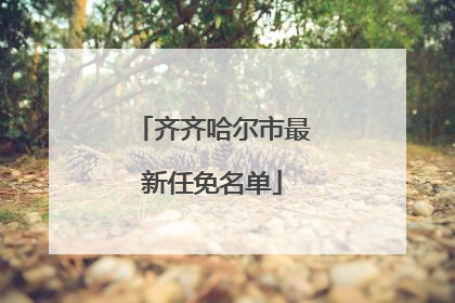 齐齐哈尔市最新任免名单
