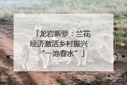龙岩新罗：兰花经济激活乡村振兴“一池春水”
