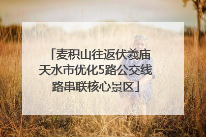 麦积山往返伏羲庙 天水市优化5路公交线路串联核心景区