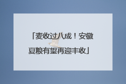 麦收过八成！安徽夏粮有望再迎丰收