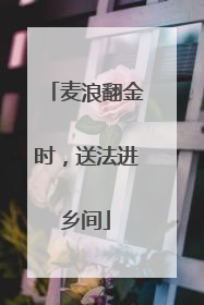 麦浪翻金时，送法进乡间