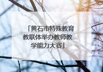黄石市特殊教育教联体举办教师教学能力大赛
