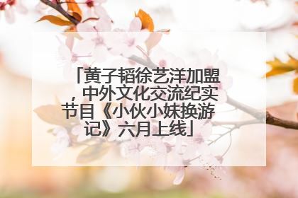 黄子韬徐艺洋加盟，中外文化交流纪实节目《小伙小妹换游记》六月上线
