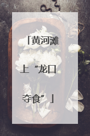 黄河滩上“龙口夺食”
