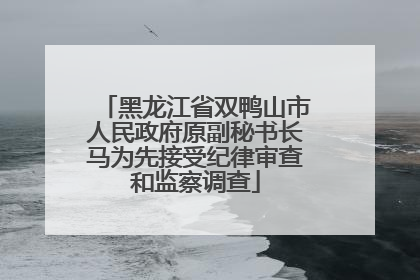 黑龙江省双鸭山市人民政府原副秘书长马为先接受纪律审查和监察调查