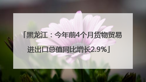 黑龙江：今年前4个月货物贸易进出口总值同比增长2.9%