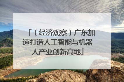 （经济观察）广东加速打造人工智能与机器人产业创新高地