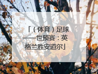 (体育)足球——世预赛:英格兰胜安道尔