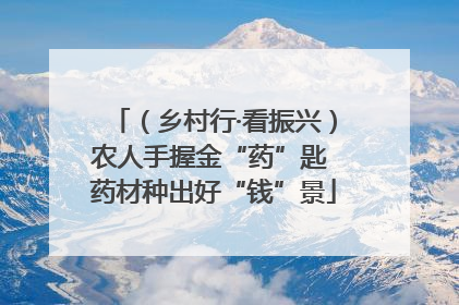 （乡村行·看振兴）农人手握金“药”匙 药材种出好“钱”景