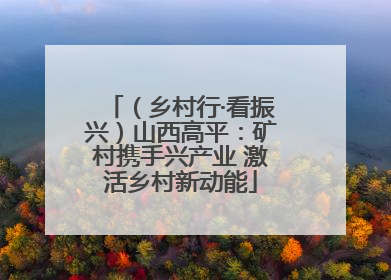 （乡村行·看振兴）山西高平：矿村携手兴产业 激活乡村新动能