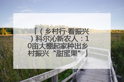（乡村行·看振兴）科尔沁新农人：10亩大棚起家种出乡村振兴“甜蜜果”
