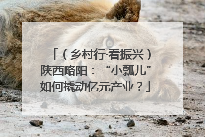 （乡村行·看振兴）陕西略阳：“小瓢儿”如何撬动亿元产业？