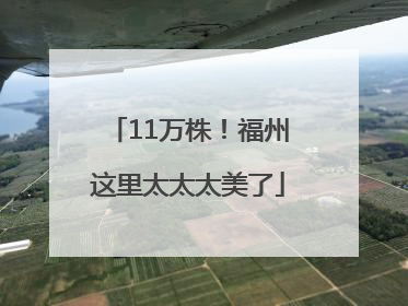 11万株！福州这里太太太美了