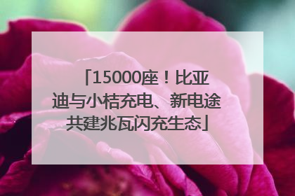 15000座！比亚迪与小桔充电、新电途共建兆瓦闪充生态