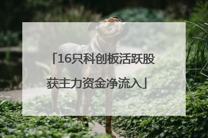 16只科创板活跃股获主力资金净流入
