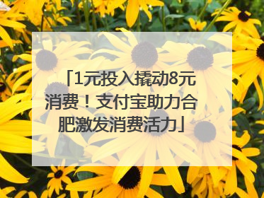 1元投入撬动8元消费！支付宝助力合肥激发消费活力