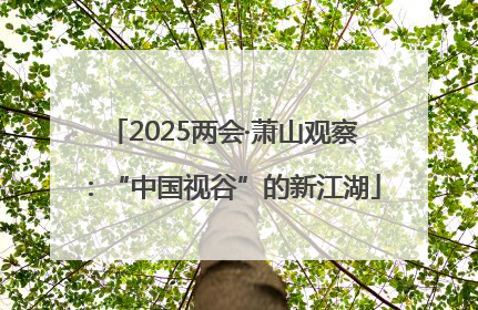 2025两会·萧山观察：“中国视谷”的新江湖