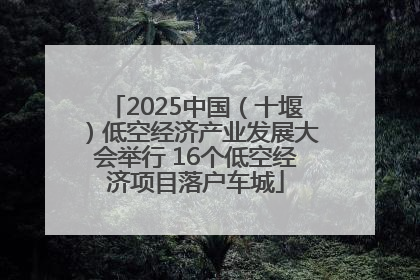 2025中国（十堰）低空经济产业发展大会举行 16个低空经济项目落户车城
