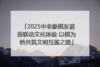 2025中非象棋友谊赛联动文化体验 以棋为桥共筑文明互鉴之路