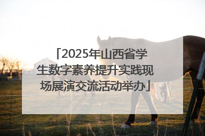 2025年山西省学生数字素养提升实践现场展演交流活动举办