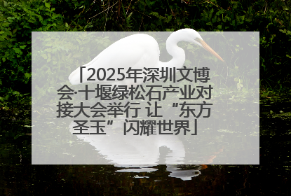 2025年深圳文博会·十堰绿松石产业对接大会举行 让“东方圣玉”闪耀世界