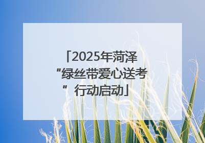 2025年菏泽“绿丝带爱心送考”行动启动