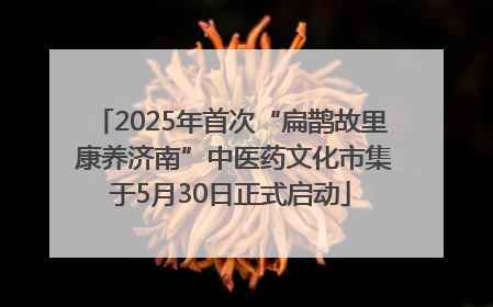 2025年首次“扁鹊故里 康养济南”中医药文化市集于5月30日正式启动