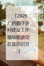 2025广西数字乡村建设工作现场推进会在富川召开
