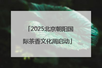 2025北京朝阳国际茶香文化周启动